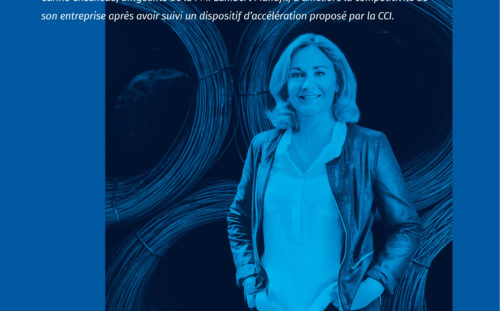 CCI Dinamic conseil management stratégie innovation entreprise