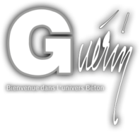 Guérin Béton Dinamic entreprises