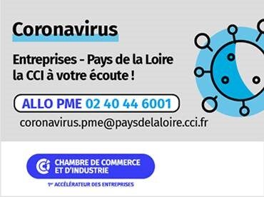 Coronavirus :Soutien_des _PME _Dinamic_Entreprises